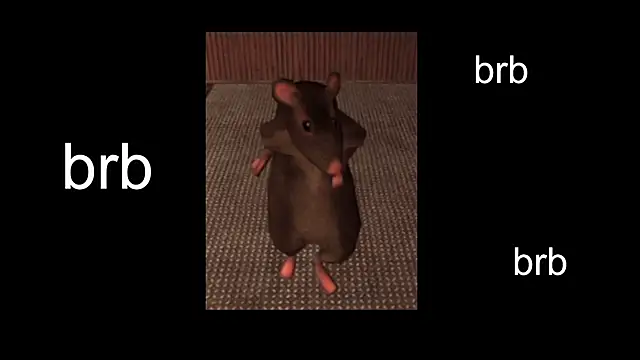 Sam Mystery online show from February 11, 1:51 pm