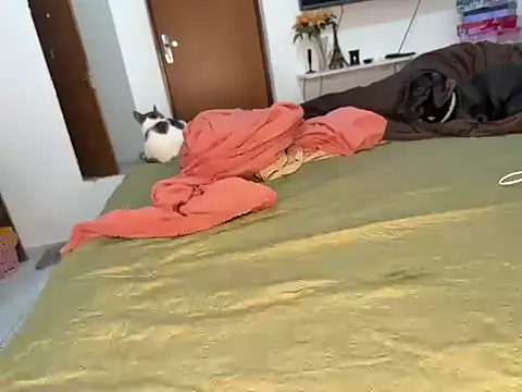 Snapshot of BRUALENC chatting on February 24, 9:29 am BRUALENC online show from February 24, 9:29 am