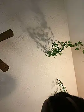 magicalc00ch online show from January 25, 12:48 am