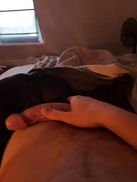 Snapshot of HannesDicks chatting on January 31, 8:22 am HannesDicks online show from January 31, 8:22 am