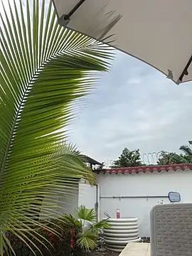 Ema azel online show from February 16, 2:00 pm