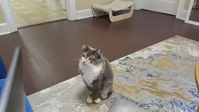 sexylilly69 online show from April 11, 9:52 pm