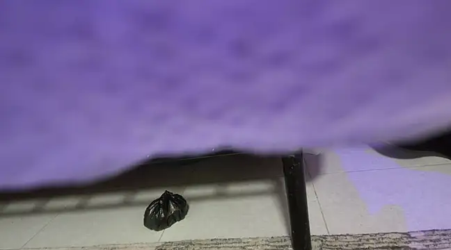 sweet-greedy online show from February 6, 5:19 pm