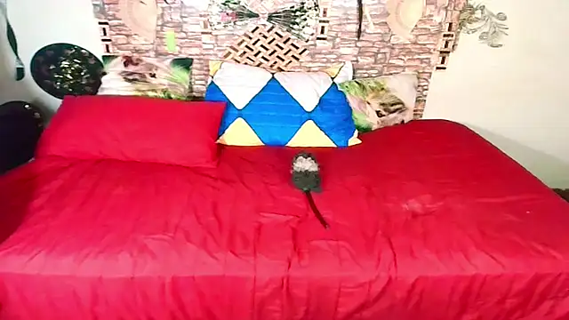 Indian Blaze00 online show from October 17, 11:35 am