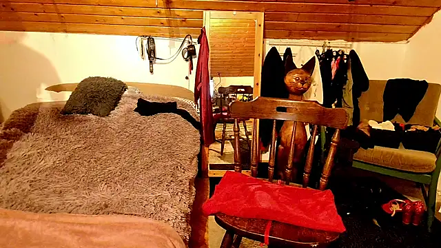 Hot Colettte online show from January 24, 1:24 am