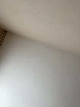 rpotktkkt online show from November 20, 9:42 am