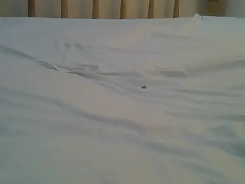 Mercydiva online show from February 9, 7:23 am