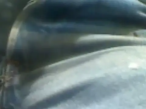 Snapshot of markluvskitty chatting on February 7, 2:15 pm markluvskitty online show from February 7, 2:15 pm