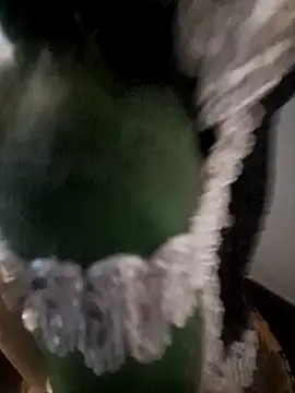 Honey-420- online show from October 31, 1:06 am