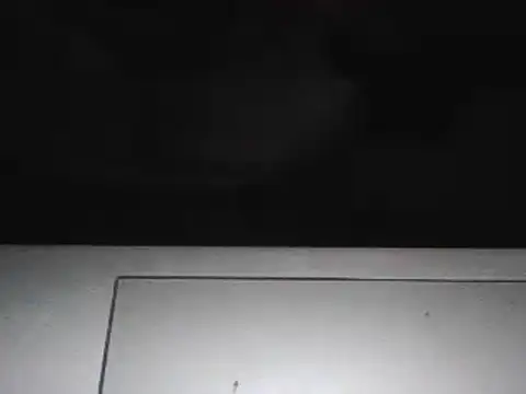 Snapshot of lovelickyou01 chatting on March 17, 4:33 pm lovelickyou01 online show from March 17, 4:33 pm