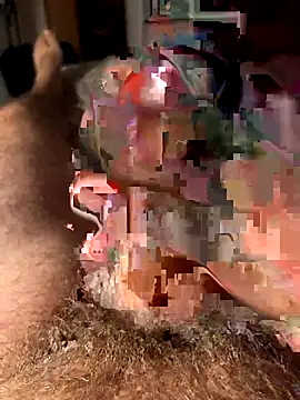 francoers online show from October 16, 11:17 pm