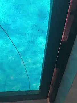 kalakim online show from October 13, 10:15 am