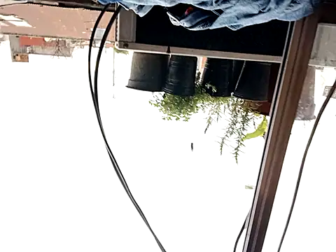 puak6666 online show from September 29, 8:02 pm