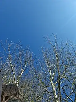 LydiaMaus96 online show from April 21, 1:39 pm