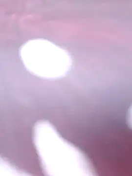 Priya Bong online show from December 16, 2:27 am