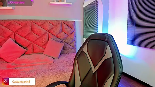 cattaleya    online show from February 15, 4:47 am