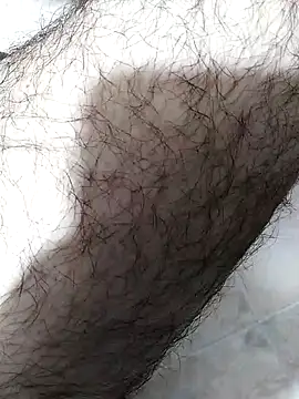 Snapshot of andrew_co chatting on November 10, 11:48 pm andrew co online show from November 10, 11:48 pm