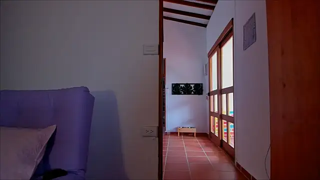 Lauren A online show from January 17, 5:41 pm