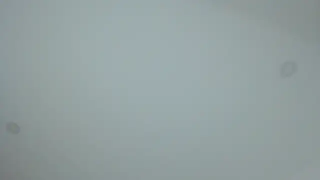 dollface17 online show from January 30, 11:55 pm