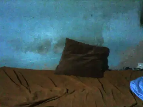 little  joy online show from December 16, 11:32 pm