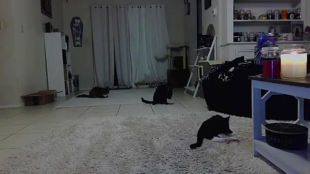 Snapshot of CrystalLakeXO chatting on October 19, 7:42 am CrystalLakeXO online show from October 19, 7:42 am