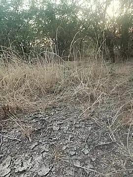 Snapshot of lovesuna chatting on December 20, 2:07 am lovesuna online show from December 20, 2:07 am