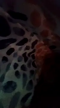 Snapshot of Xoc8_ chatting on December 8, 8:47 pm Xoc8 online show from December 8, 8:47 pm