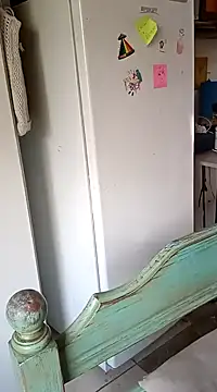 Snapshot of ConeNella chatting on January 8, 3:07 pm ConeNella online show from January 8, 3:07 pm