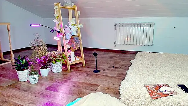 Meowroslava online show from November 7, 9:31 am