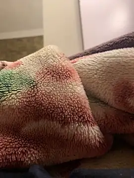 Gengista88 online show from February 15, 1:24 am