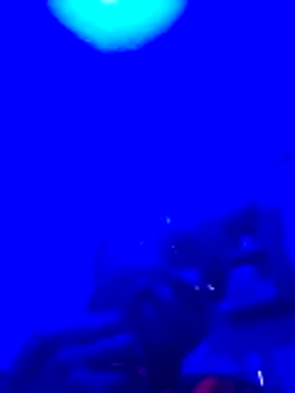 Brian johns online show from March 23, 9:08 pm