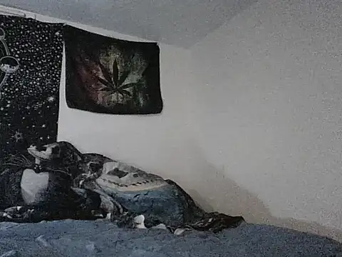 Snapshot of webetokinmo420 chatting on November 29, 10:29 am webetokinmo420 online show from November 29, 10:29 am