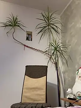 derek1494 online show from January 9, 9:27 pm