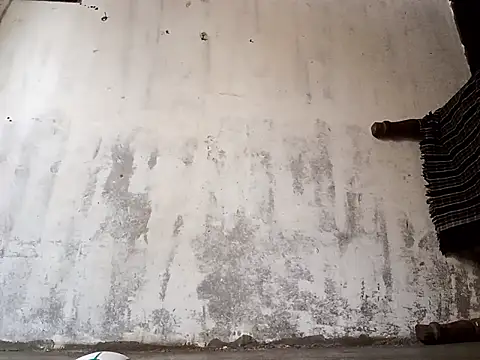 Yasha 14C Creator online show from January 17, 5:01 am