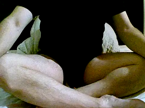 pollarikaaa online show from December 2, 4:42 am