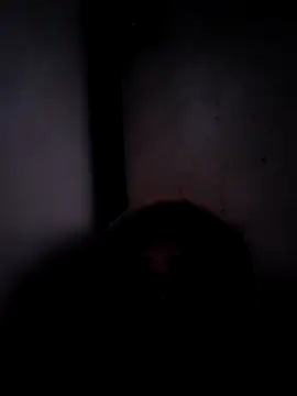 ListedLoin online show from March 17, 3:55 am