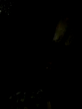 Tamil boy age28 online show from February 15, 5:17 pm