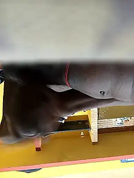 Tamil boy age28 online show from January 12, 3:34 am