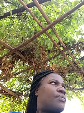 missarpie online show from January 15, 11:37 am