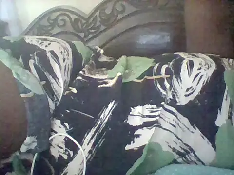 Snapshot of missarpie chatting on February 11, 5:23 am missarpie online show from February 11, 5:23 am