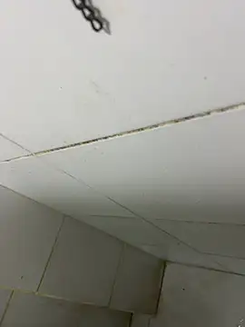 thfrances online show from February 27, 3:39 am