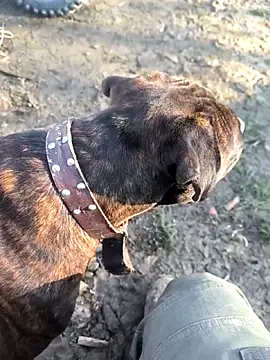 mitulik84 online show from December 19, 11:50 am