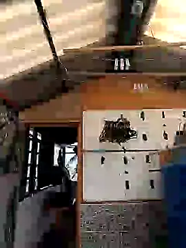 rebekka simpson online show from March 9, 8:10 pm