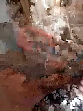 Snapshot of Din0071 chatting on December 22, 3:31 pm Din0071 online show from December 22, 3:31 pm