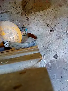 Snapshot of Din0071 chatting on January 7, 5:59 pm Din0071 online show from January 7, 5:59 pm