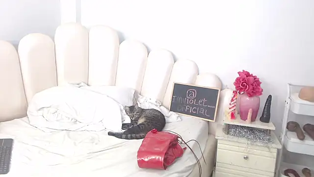 VioletXia  online show from February 14, 6:21 am