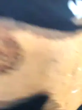 Snapshot of martinna_tay chatting on March 1, 3:19 am martinna tay online show from March 1, 3:19 am