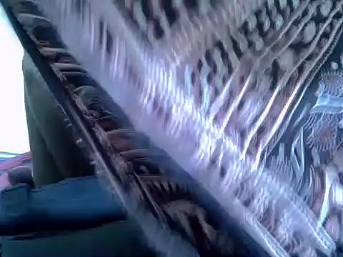 pointy bloom online show from November 22, 3:33 pm