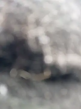  andrea30 online show from October 30, 12:06 pm