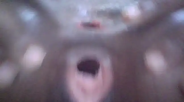 petitev online show from January 3, 4:11 am